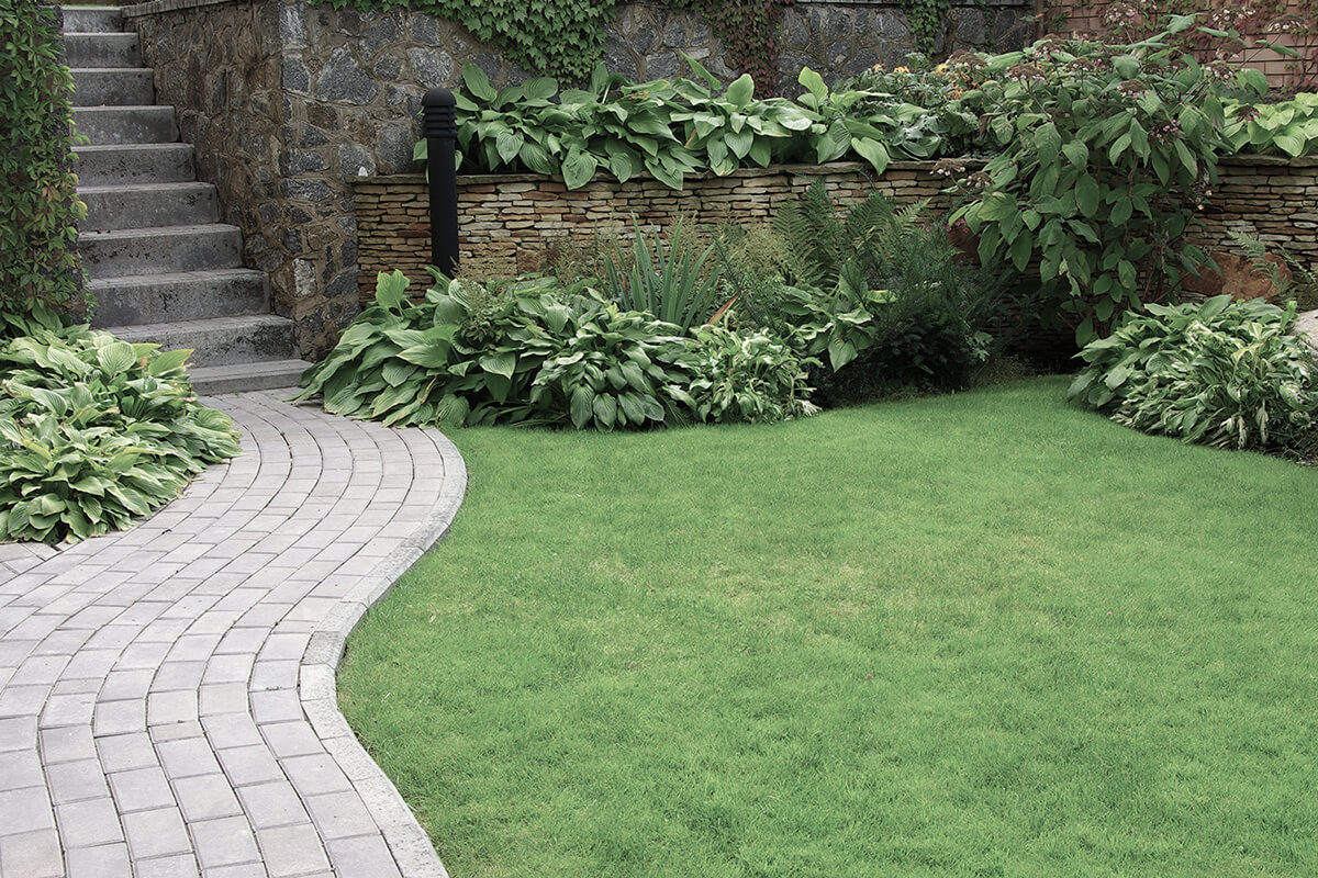 Welcome to Top Choice Landscaping
